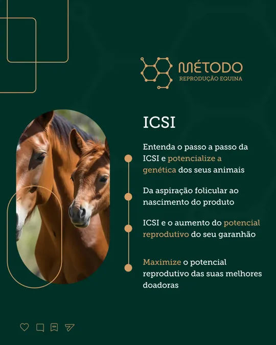 Post: passo a passo da ICSI