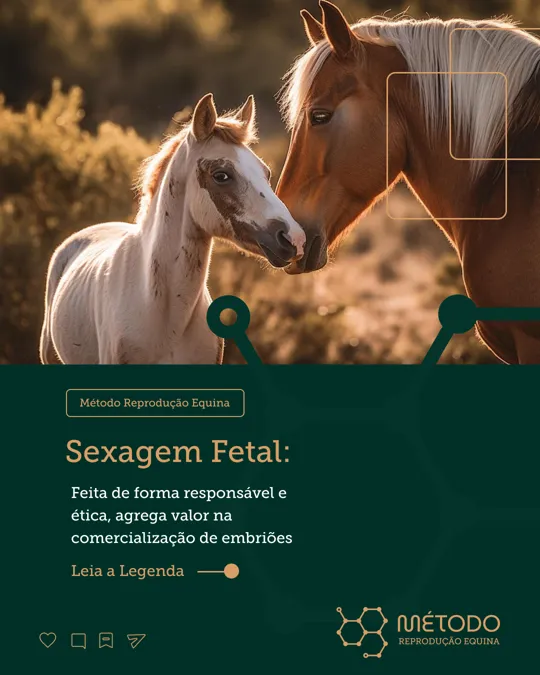 Post: sexagem fetal