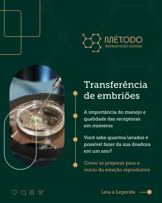 Post: transferência de embriões